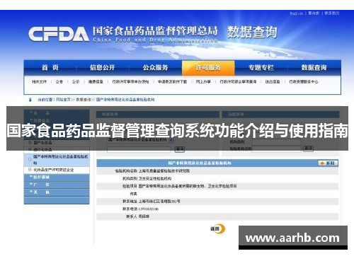 国家食品药品监督管理查询系统功能介绍与使用指南